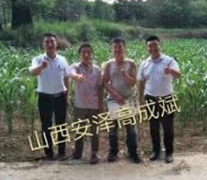 用戶體驗(yàn)