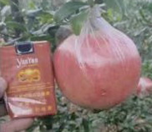 用戶體驗(yàn)