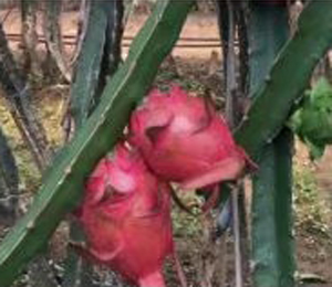 用戶體驗(yàn)