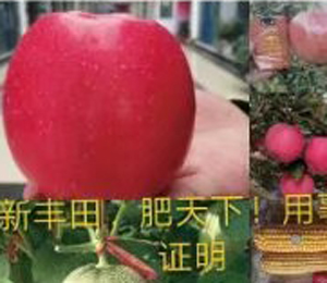 用戶體驗(yàn)