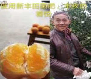 用戶體驗(yàn)