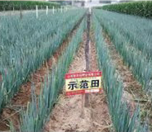 用戶體驗(yàn)